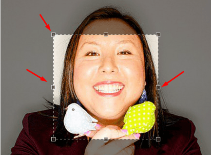 crop_image.png
